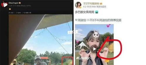 顶流网红爆料视频大全最新,视频大全背后的惊人真相 第2张 顶流网红爆料视频大全最新,视频大全背后的惊人真相 第2张